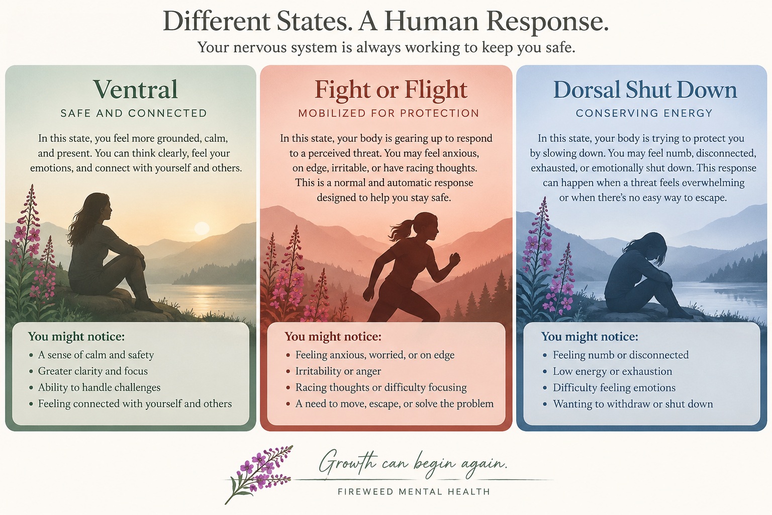 Illustrated guide to ventral, fight or flight, and dorsal shutdown nervous system states